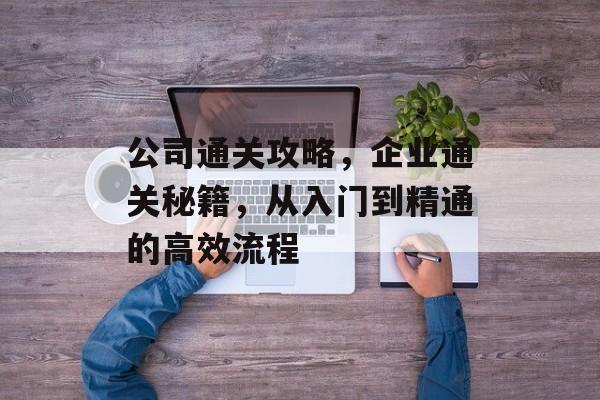 公司通关攻略，企业通关秘籍，从入门到精通的高效流程