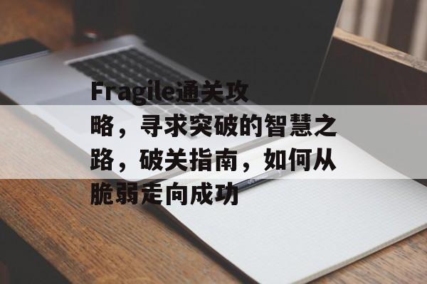 Fragile通关攻略，寻求突破的智慧之路，破关指南，如何从脆弱走向成功