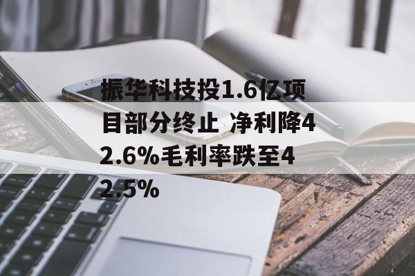 振华科技投1.6亿项目部分终止 净利降42.6%毛利率跌至42.5%