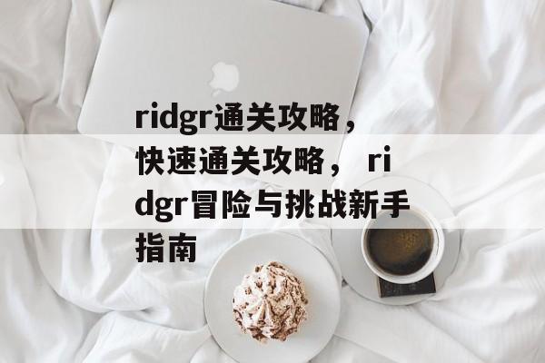 ridgr通关攻略,快速通关攻略, ridgr冒险与挑战新手指南 ridgr通关攻略,快速通关攻略, ridgr冒险与挑战新手指南