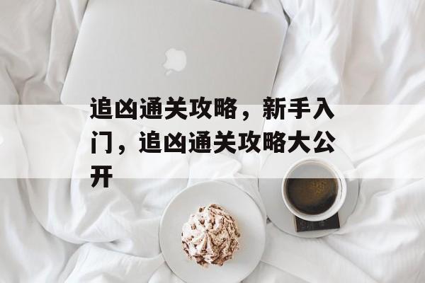 追凶通关攻略，新手入门，追凶通关攻略大公开