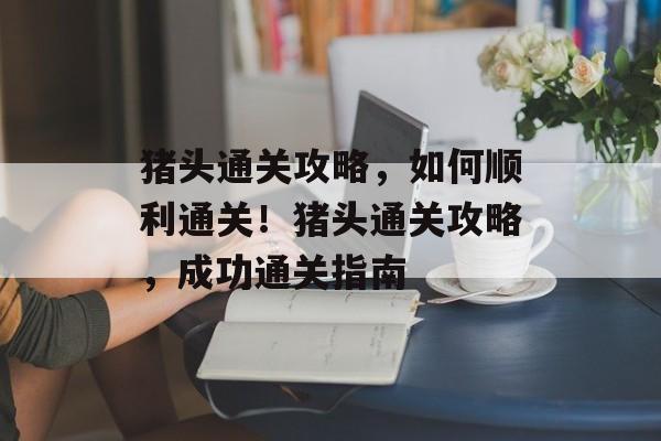 猪头通关攻略，如何顺利通关！猪头通关攻略，成功通关指南