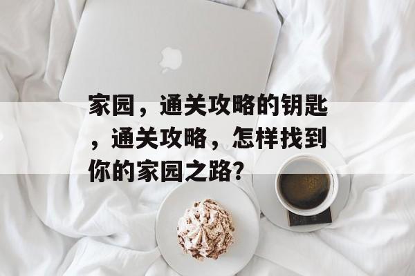 家园，通关攻略的钥匙，通关攻略，怎样找到你的家园之路？