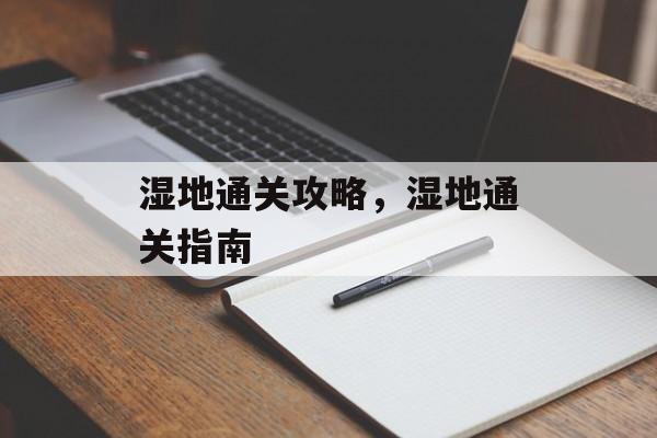 湿地通关攻略，湿地通关指南