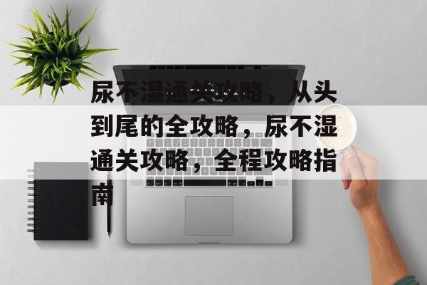 尿不湿通关攻略，从头到尾的全攻略，尿不湿通关攻略，全程攻略指南