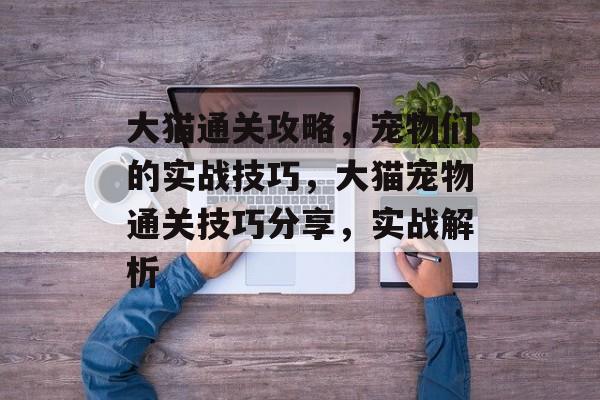 大猫通关攻略,宠物们的实战技巧,大猫宠物通关技巧分享,实战解析 大猫通关攻略,宠物们的实战技巧,大猫宠物通关技巧分享,实战解析