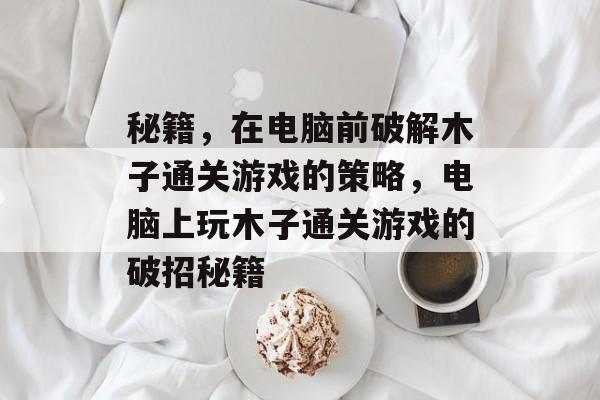 秘籍，在电脑前破解木子通关游戏的策略，电脑上玩木子通关游戏的破招秘籍