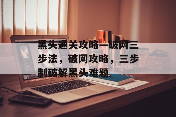 黑头通关攻略—破网三步法,破网攻略,三步制破解黑头难题 黑头通关攻略—破网三步法,破网攻略,三步制破解黑头难题