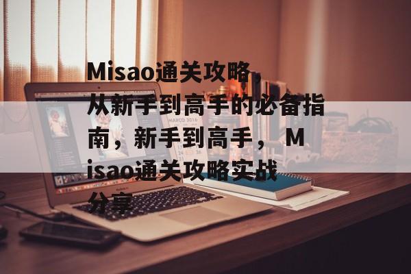 Misao通关攻略，从新手到高手的必备指南，新手到高手， Misao通关攻略实战分享