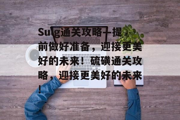 Sulg通关攻略—提前做好准备，迎接更美好的未来！硫磺通关攻略，迎接更美好的未来!
