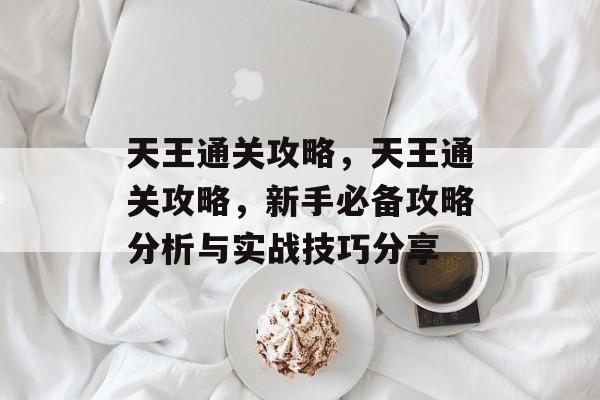 天王通关攻略，天王通关攻略，新手必备攻略分析与实战技巧分享
