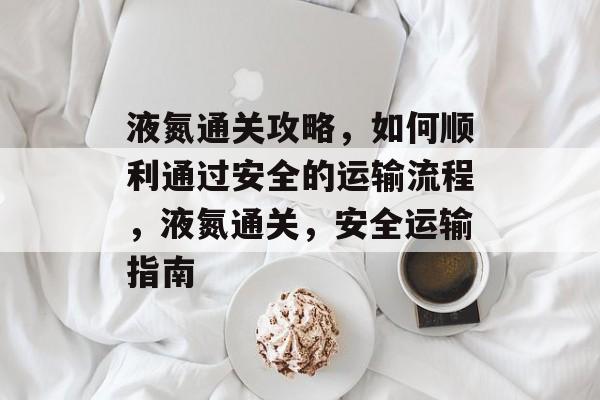 液氮通关攻略，如何顺利通过安全的运输流程，液氮通关，安全运输指南