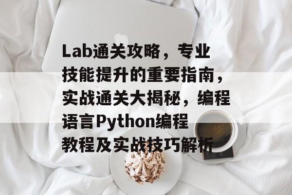 Lab通关攻略，专业技能提升的重要指南，实战通关大揭秘，编程语言Python编程教程及实战技巧解析