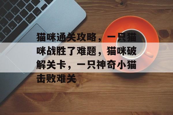 猫咪通关攻略，一只猫咪战胜了难题，猫咪破解关卡，一只神奇小猫击败难关