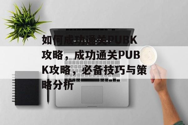 如何成功通关PUBK攻略，成功通关PUBK攻略，必备技巧与策略分析