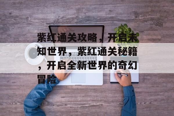 紫红通关攻略，开启未知世界，紫红通关秘籍，开启全新世界的奇幻冒险