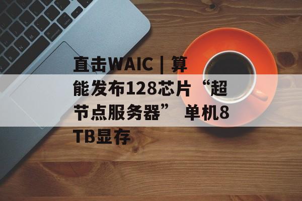 直击WAIC | 算能发布128芯片“超节点服务器” 单机8TB显存 直击WAIC | 算能发布128芯片“超节点服务器” 单机8TB显存