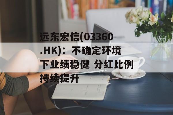 远东宏信(03360.HK):不确定环境下业绩稳健 分红比例持续提升 远东宏信(03360.HK):不确定环境下业绩稳健 分红比例持续提升