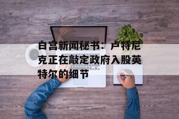白宫新闻秘书:卢特尼克正在敲定政府入股英特尔的细节 白宫新闻秘书:卢特尼克正在敲定政府入股英特尔的细节