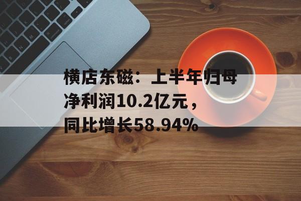 横店东磁:上半年归母净利润10.2亿元,同比增长58.94% 横店东磁:上半年归母净利润10.2亿元,同比增长58.94%