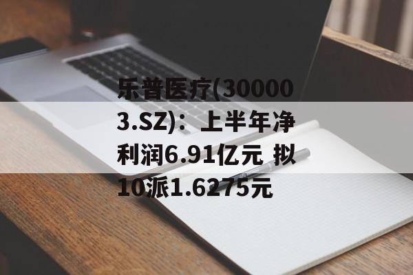 乐普医疗(300003.SZ):上半年净利润6.91亿元 拟10派1.6275元 乐普医疗(300003.SZ):上半年净利润6.91亿元 拟10派1.6275元