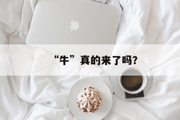“牛”真的来了吗? “牛”真的来了吗?