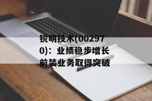 锐明技术(002970):业绩稳步增长 前装业务取得突破 锐明技术(002970):业绩稳步增长 前装业务取得突破