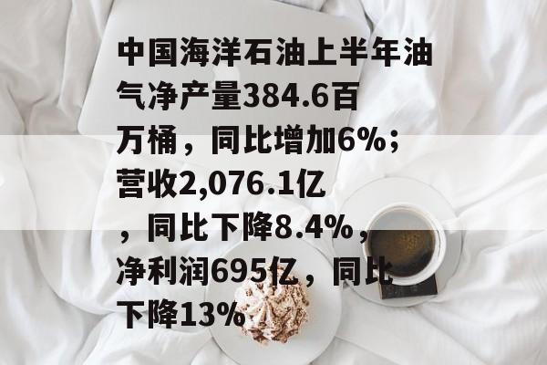 中国海洋石油上半年油气净产量384.6百万桶,同比增加6%;营收2,076.1亿,同比下降8.4%,净利润695亿,同比下降13% 中国海洋石油上半年油气净产量384.6百万桶,同比增加6%;营收2,076.1亿,同比下降8.4%,净利润695亿,同比下降13%