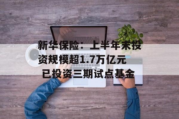 新华保险:上半年末投资规模超1.7万亿元 已投资三期试点基金 新华保险:上半年末投资规模超1.7万亿元 已投资三期试点基金