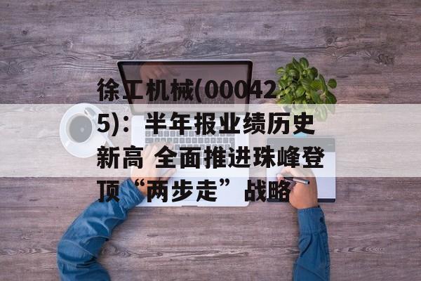 徐工机械(000425):半年报业绩历史新高 全面推进珠峰登顶“两步走”战略 徐工机械(000425):半年报业绩历史新高 全面推进珠峰登顶“两步走”战略