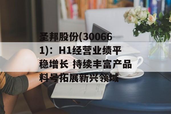 圣邦股份(300661)：H1经营业绩平稳增长 持续丰富产品料号拓展新兴领域
