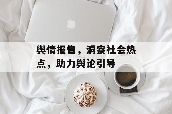 舆情报告，洞察社会热点，助力舆论引导