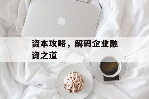 资本攻略,解码企业融资之道 资本攻略,解码企业融资之道