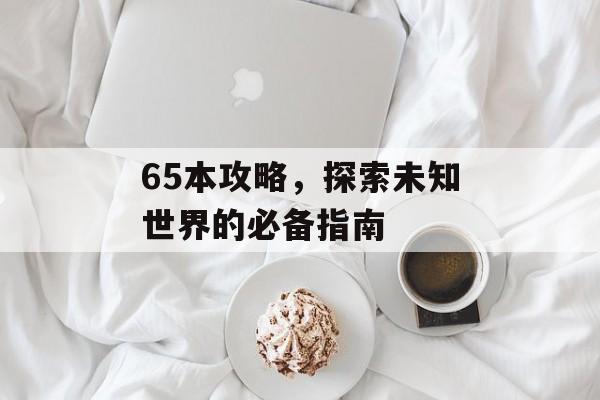 65本攻略，探索未知世界的必备指南
