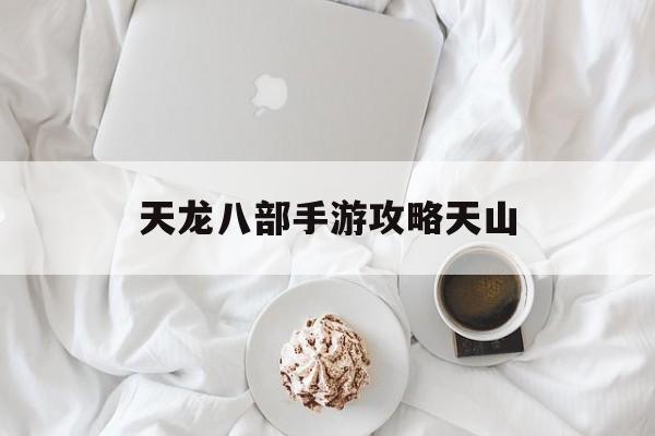 天龙八部手游攻略天山