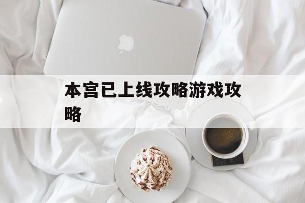 本宫已上线攻略游戏攻略