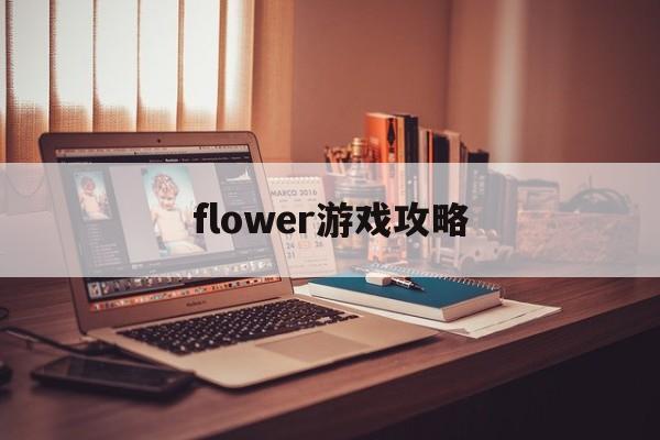 flower游戏攻略 flower游戏攻略